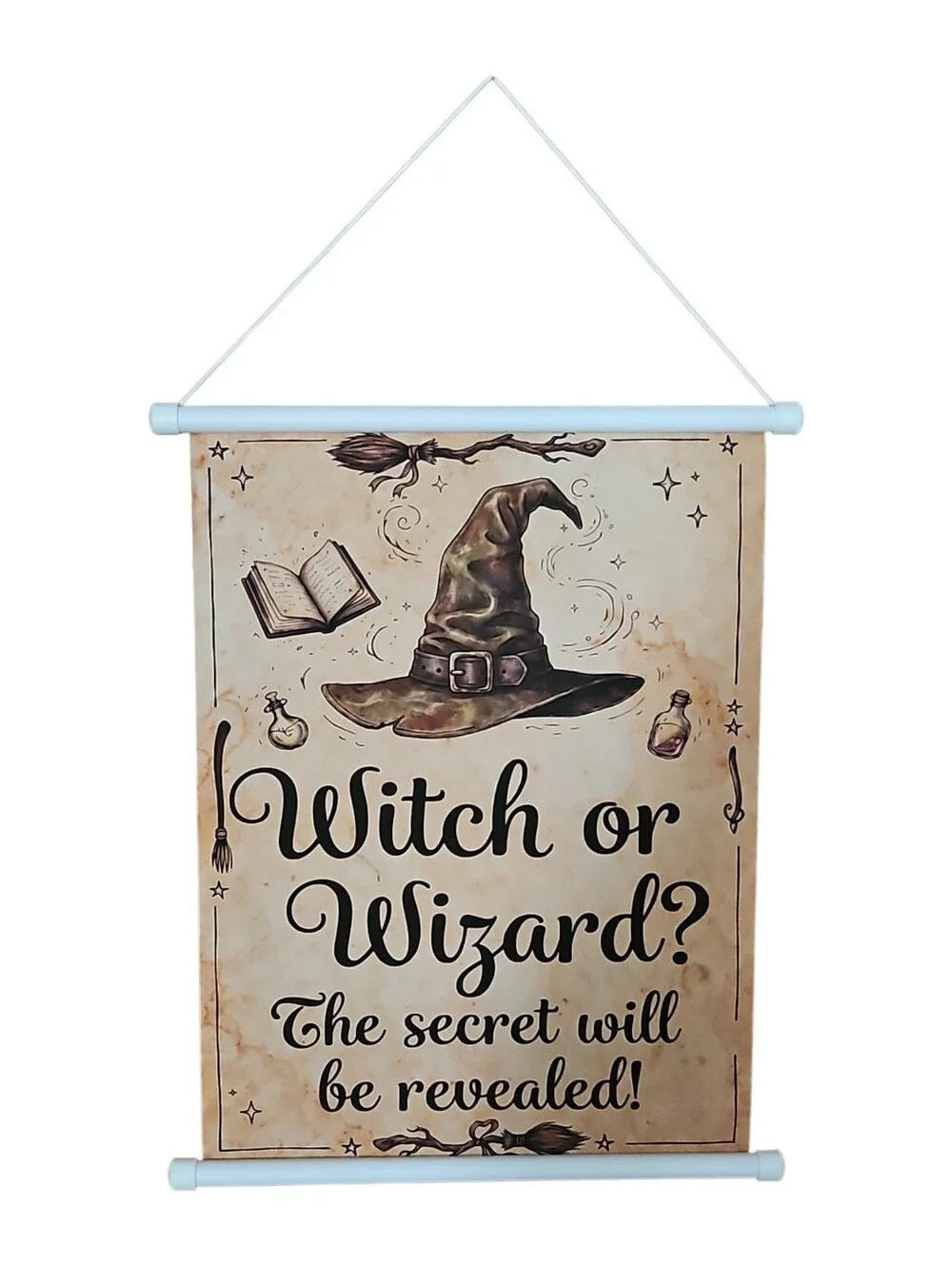 Witch or Wizard Gender Reveal